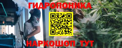 гашик Малоярославец