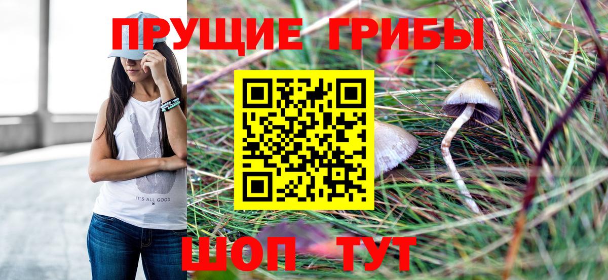 Волжский  как найти   Вход с VPN  Псилоцибиновые грибы прущие грибы 